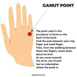 gamut point