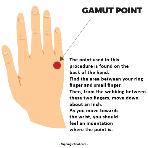 gamut point