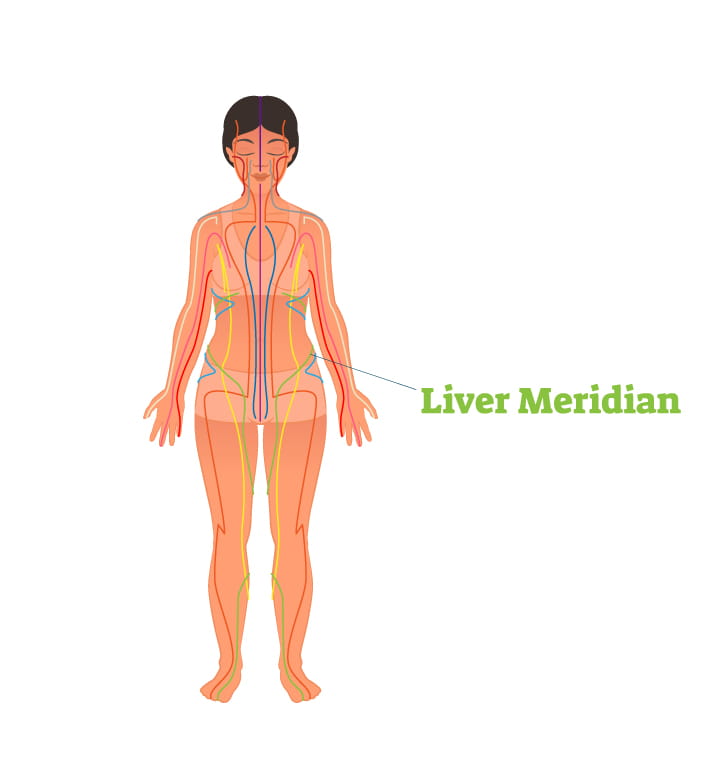 liver meridian