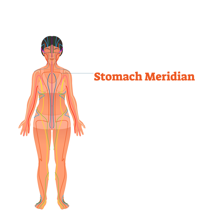 stomach meridian 