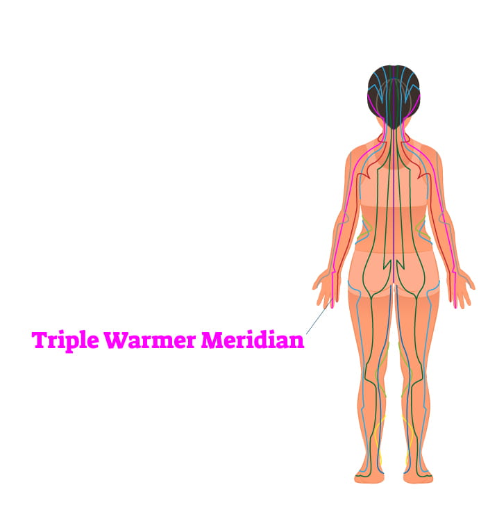 triple warmer meridian 